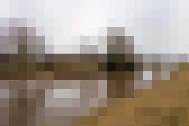 Afwateringskanaal 67 Farmsum thumbnail 29