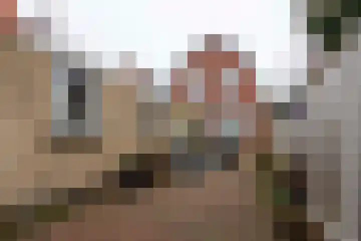 Afwateringskanaal 67 Farmsum thumbnail 5