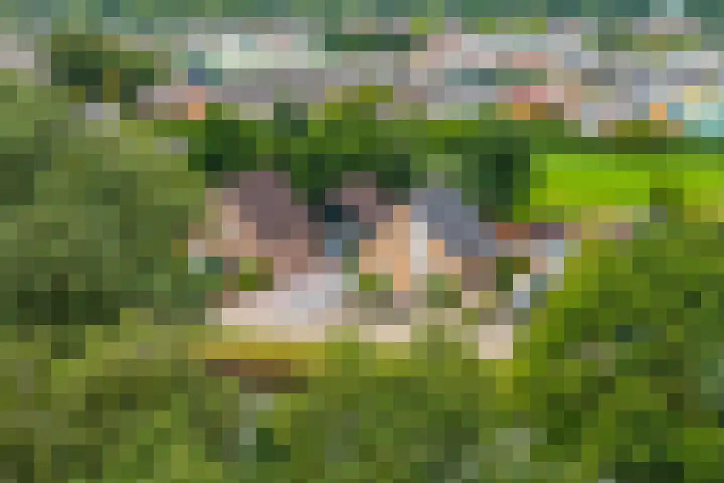 Afwateringskanaal 71 Farmsum thumbnail 11
