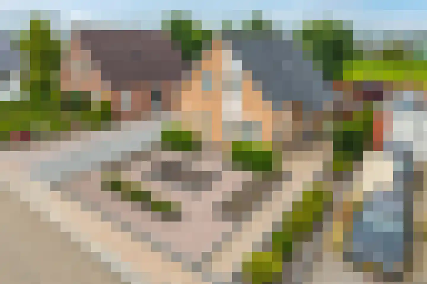 Afwateringskanaal 71 Farmsum thumbnail 12