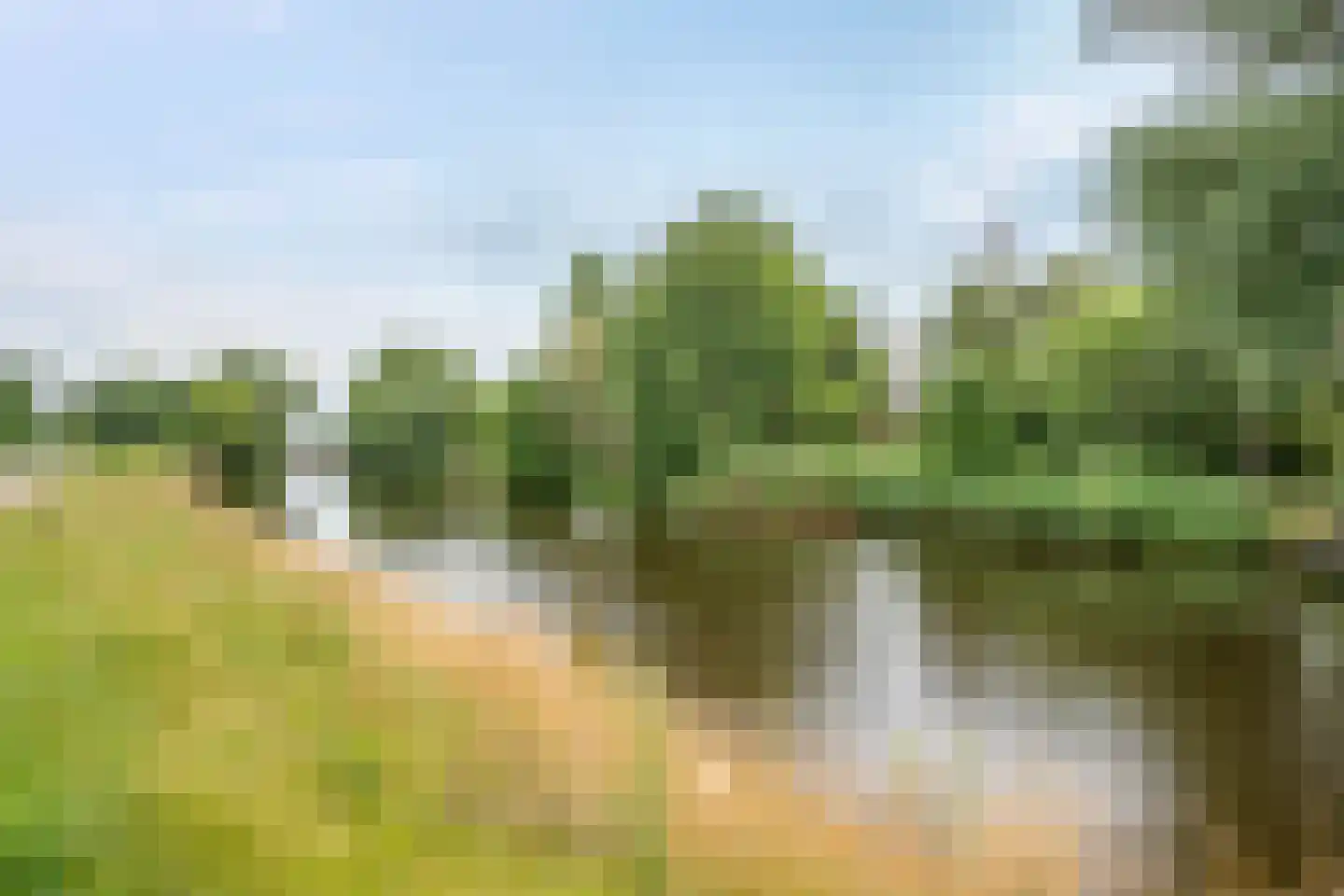 Afwateringskanaal 71 Farmsum thumbnail 14