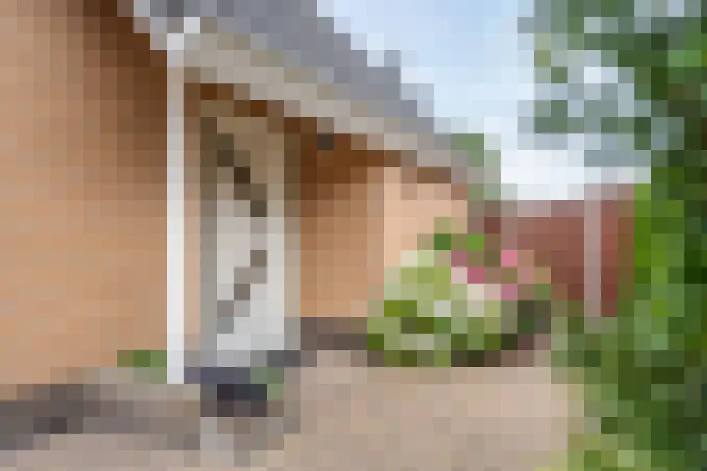 Afwateringskanaal 71 Farmsum thumbnail 19