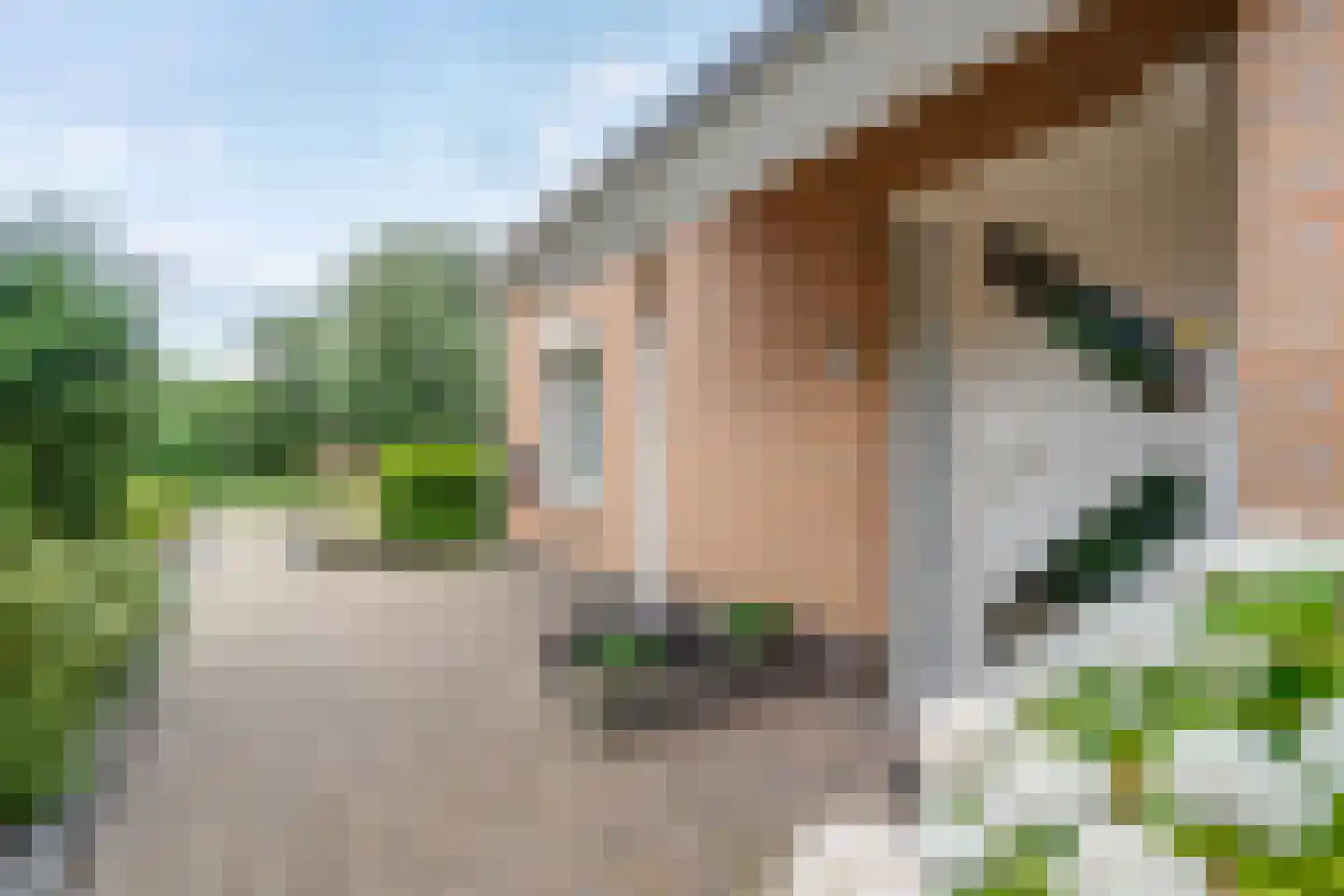 Afwateringskanaal 71 Farmsum thumbnail 20