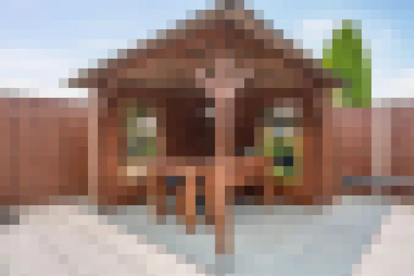 Afwateringskanaal 71 Farmsum thumbnail 50