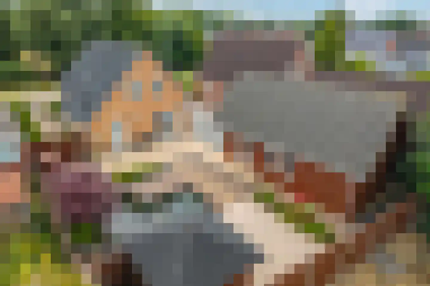 Afwateringskanaal 71 Farmsum thumbnail 55