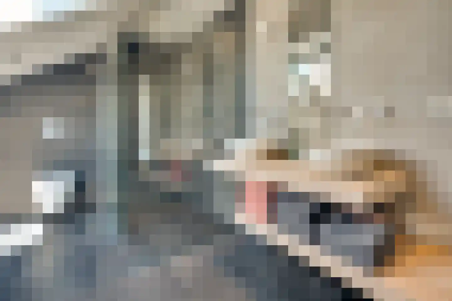 Afzeliahout 1 Assen thumbnail 31