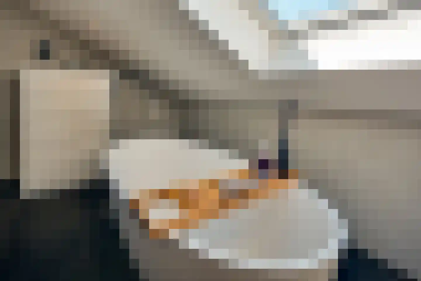 Afzeliahout 1 Assen thumbnail 32
