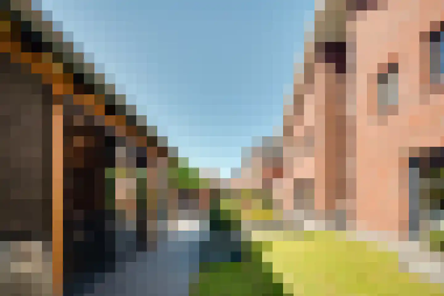 Afzeliahout 1 Assen thumbnail 38