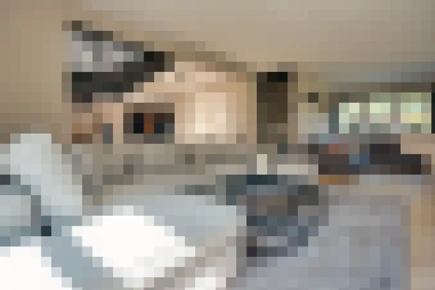 Afzeliahout 1 Assen thumbnail 4