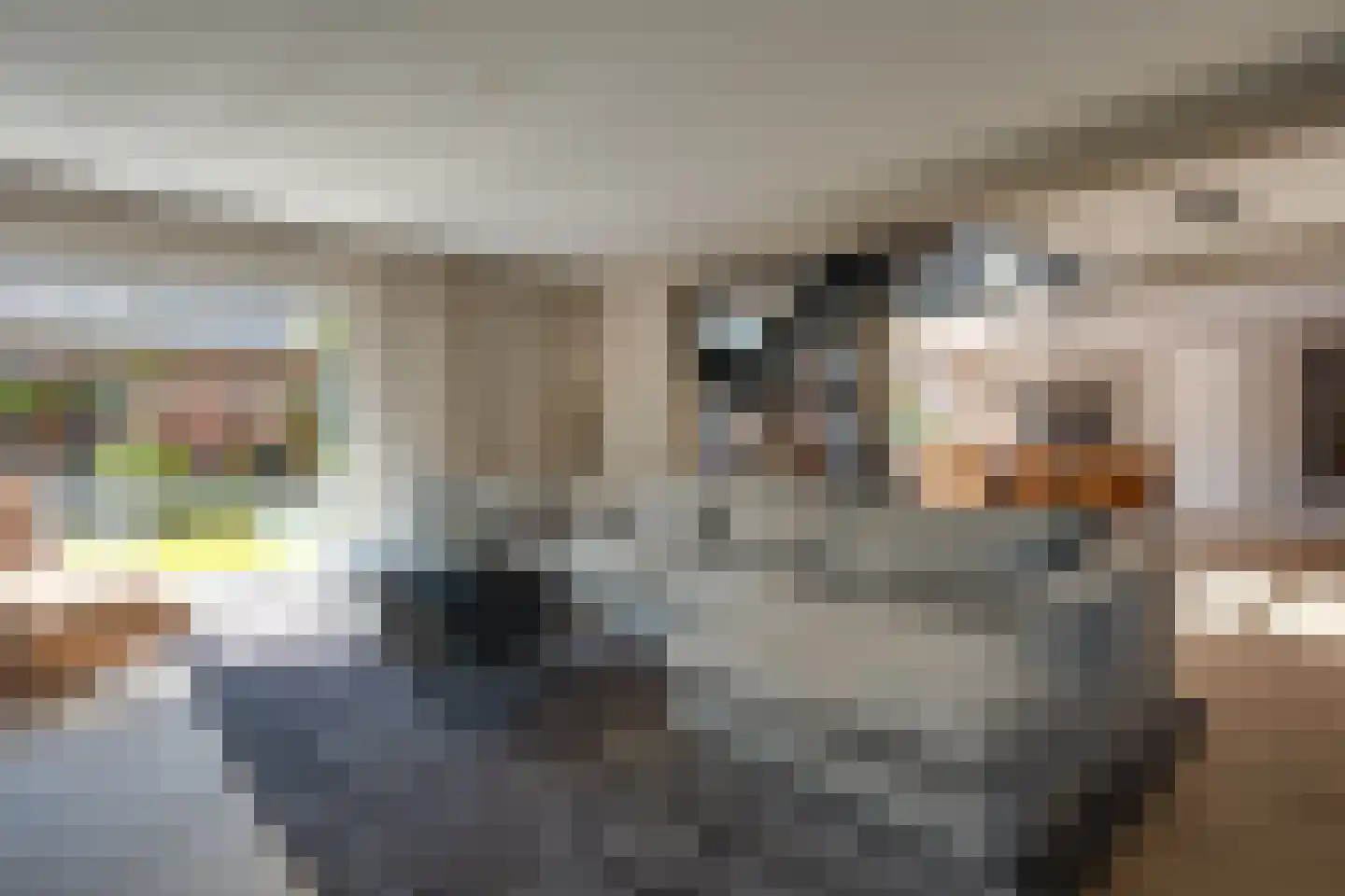 Afzeliahout 1 Assen thumbnail 6