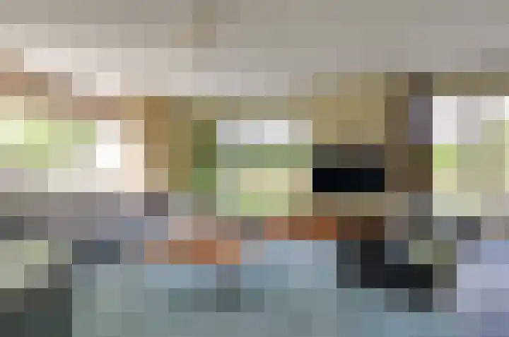 Afzeliahout 10 Assen thumbnail 10