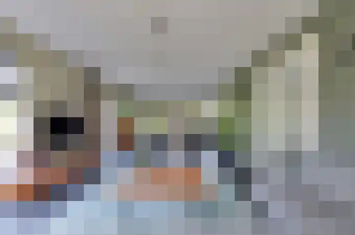 Afzeliahout 10 Assen thumbnail 12