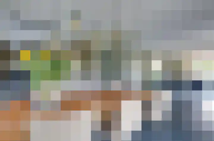 Afzeliahout 10 Assen thumbnail 19