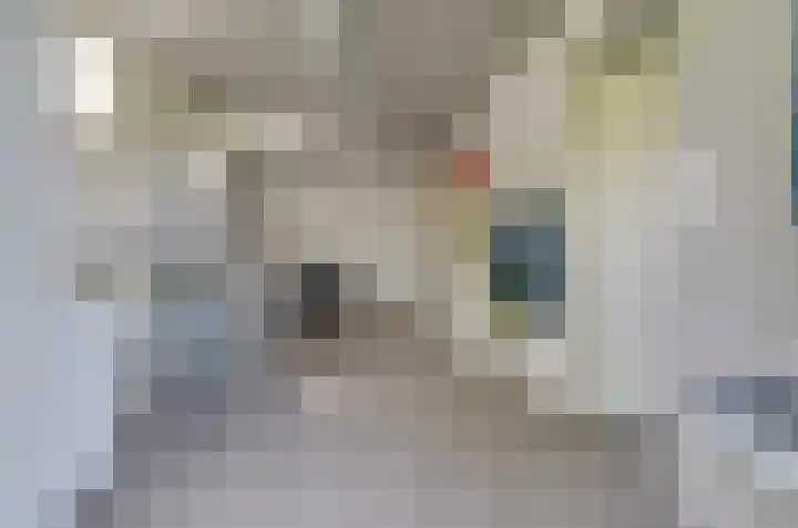 Afzeliahout 10 Assen thumbnail 30