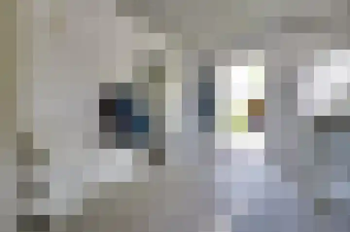 Afzeliahout 10 Assen thumbnail 31