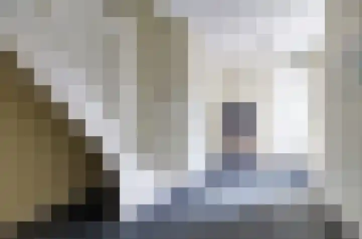 Afzeliahout 10 Assen thumbnail 32