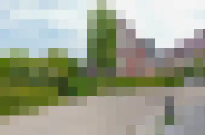 Afzeliahout 10 Assen thumbnail 5
