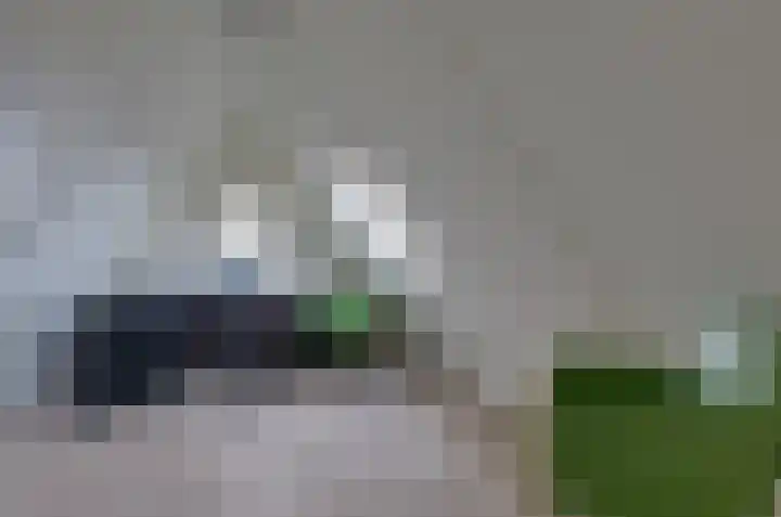 Afzeliahout 10 Assen thumbnail 54