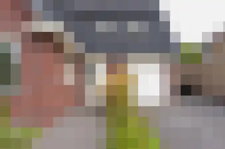 Afzeliahout 10 Assen thumbnail 56