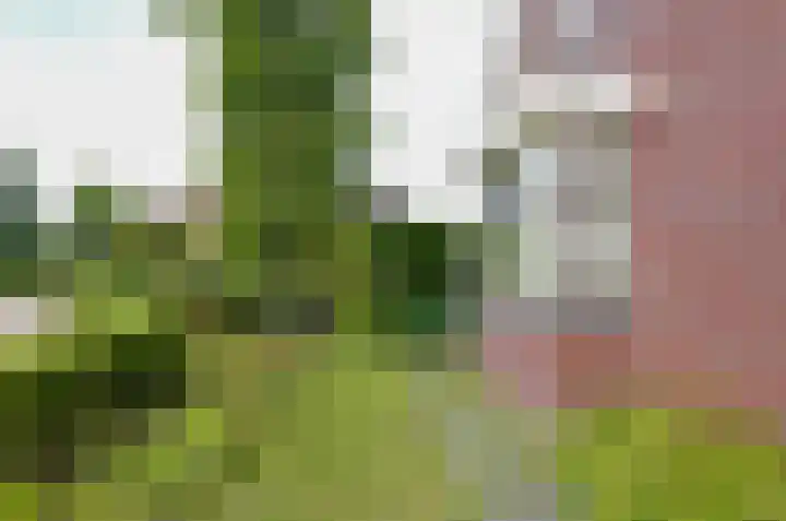 Afzeliahout 10 Assen thumbnail 57