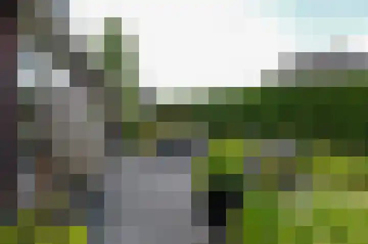Afzeliahout 10 Assen thumbnail 59