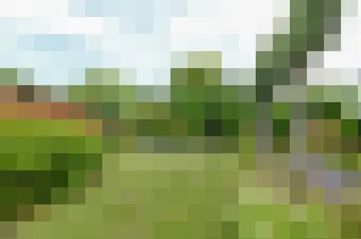 Afzeliahout 10 Assen thumbnail 61