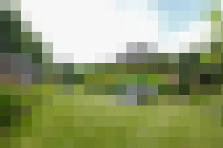 Afzeliahout 10 Assen thumbnail 63