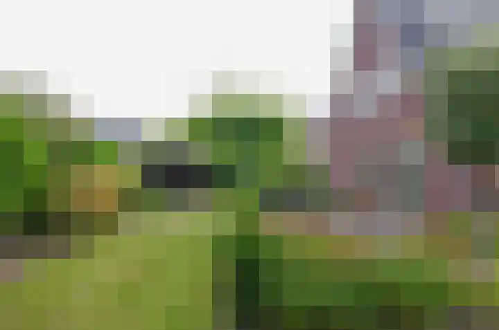 Afzeliahout 10 Assen thumbnail 65