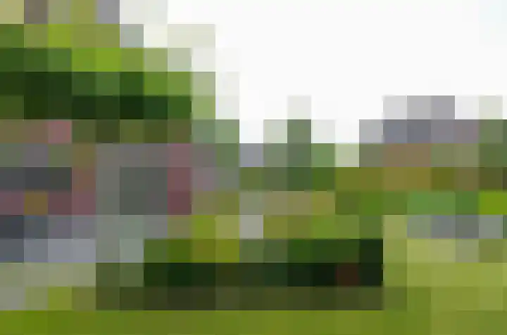 Afzeliahout 10 Assen thumbnail 66