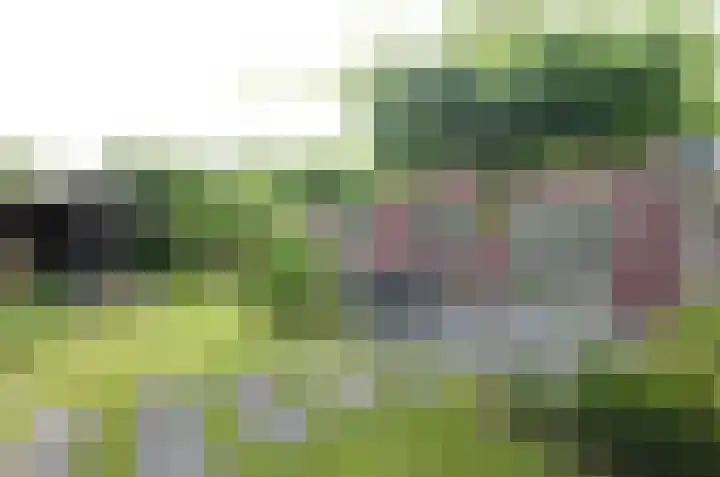 Afzeliahout 10 Assen thumbnail 68