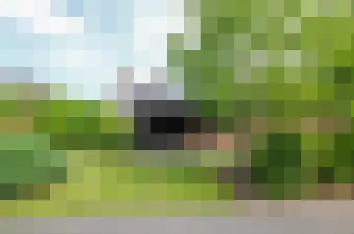 Afzeliahout 10 Assen thumbnail 69