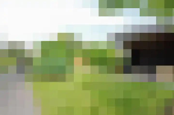 Afzeliahout 10 Assen thumbnail 70