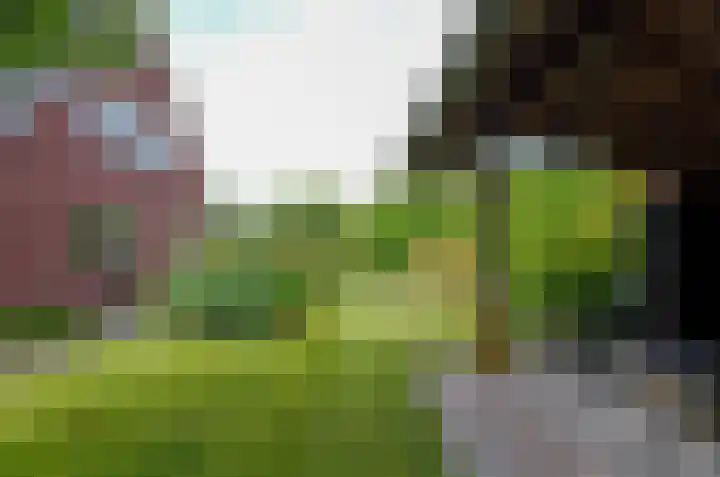 Afzeliahout 10 Assen thumbnail 72