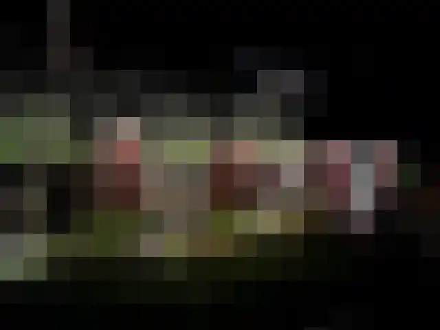 Afzeliahout 10 Assen thumbnail 73