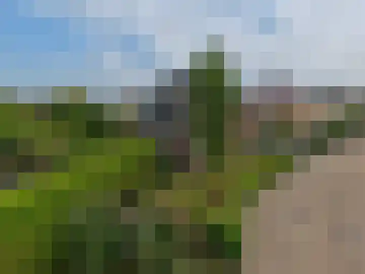 Afzeliahout 10 Assen thumbnail 78