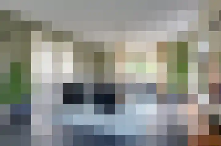 Afzeliahout 10 Assen thumbnail 8