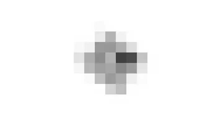 Afzeliahout 10 Assen thumbnail 87