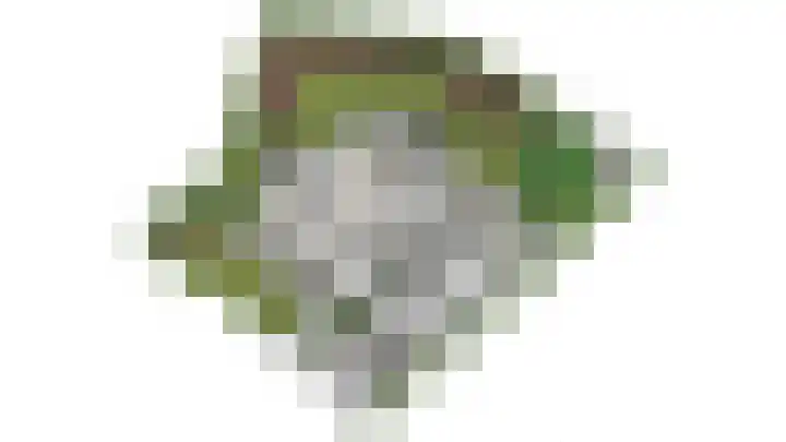Afzeliahout 10 Assen thumbnail 88