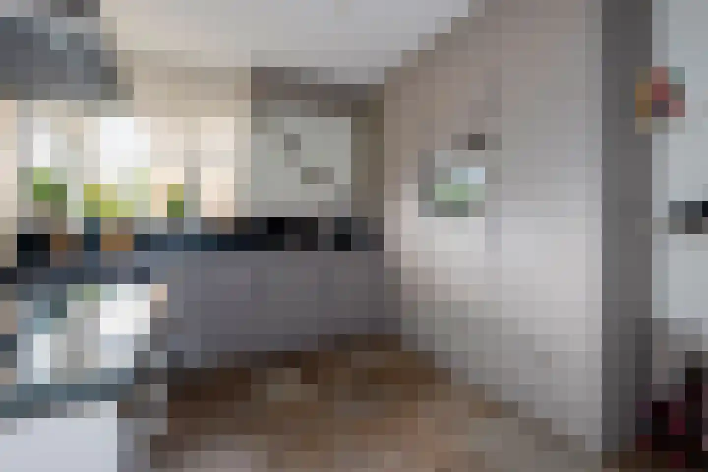 Afzeliahout 4 Assen thumbnail 22