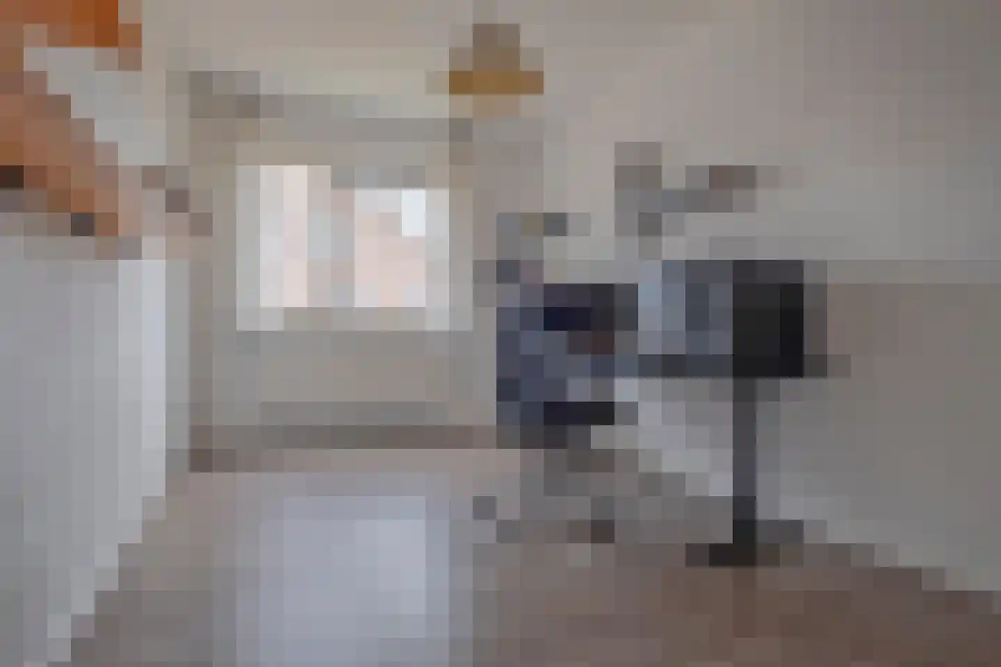 Afzeliahout 4 Assen thumbnail 35