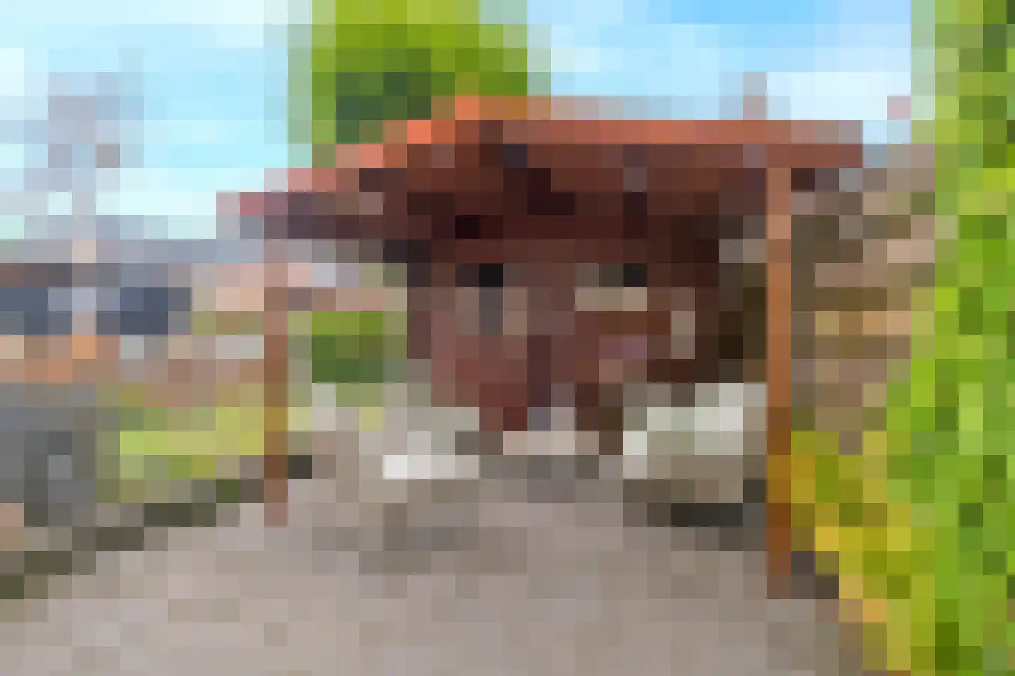 Afzeliahout 4 Assen thumbnail 42