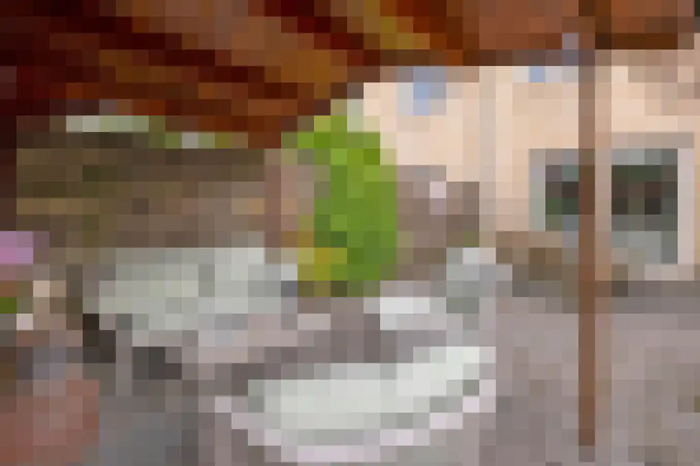 Afzeliahout 4 Assen thumbnail 44
