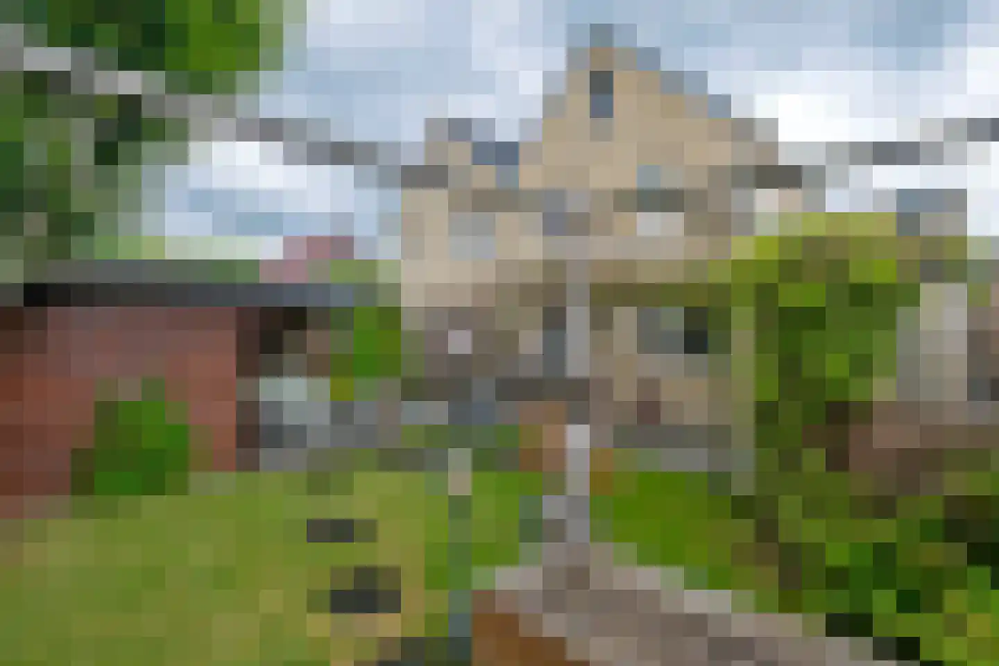 Afzeliahout 4 Assen thumbnail 46