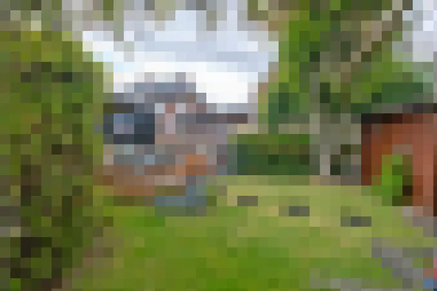 Afzeliahout 4 Assen thumbnail 47