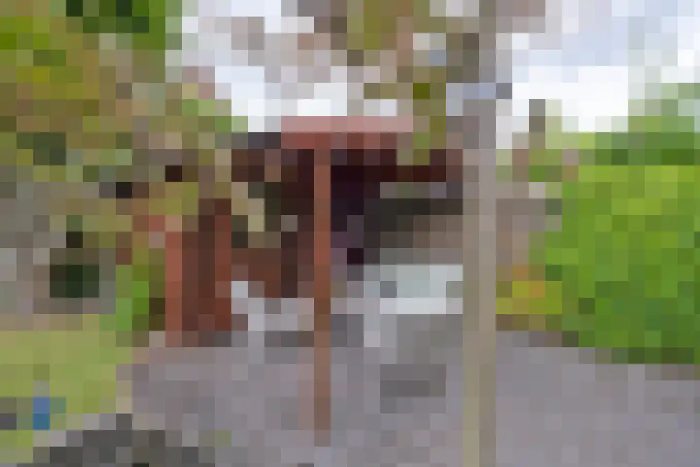 Afzeliahout 4 Assen thumbnail 48