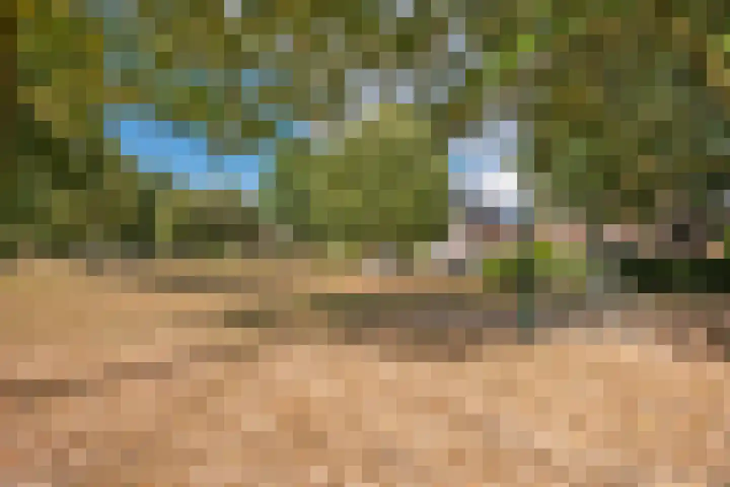 Afzeliahout 4 Assen thumbnail 49