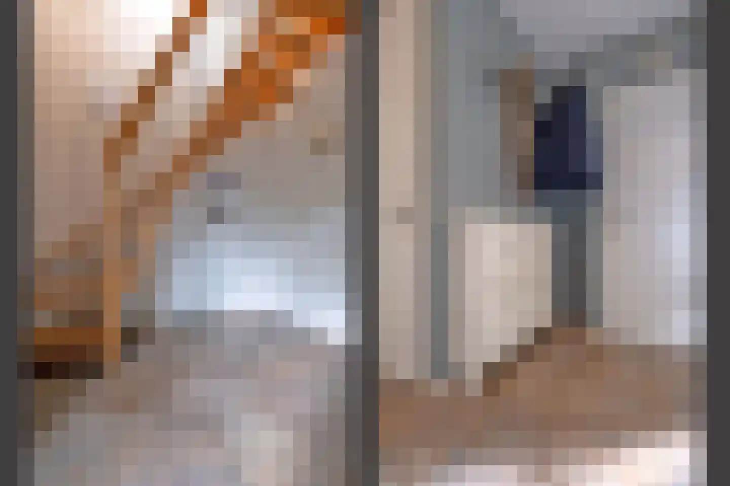 Afzeliahout 4 Assen thumbnail 7