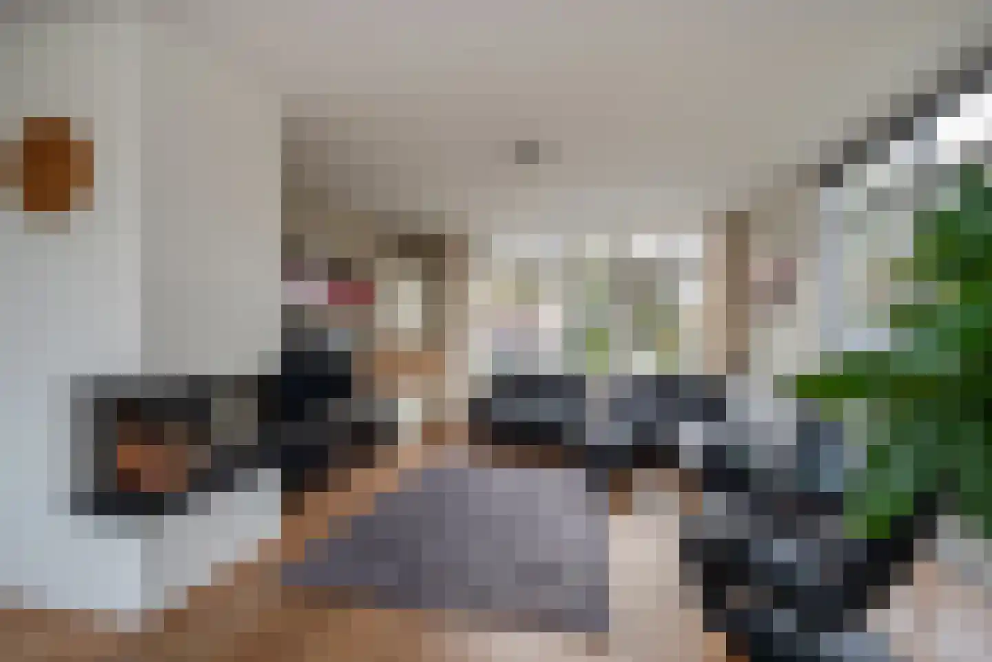 Agaat 100 Zoetermeer thumbnail 11