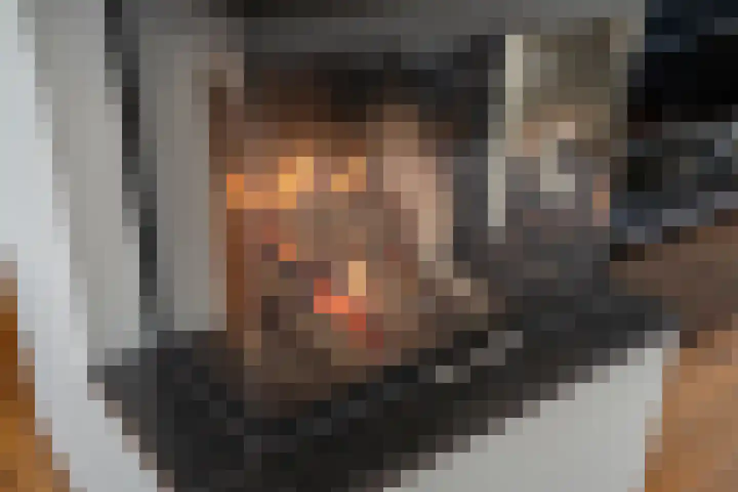 Agaat 100 Zoetermeer thumbnail 12