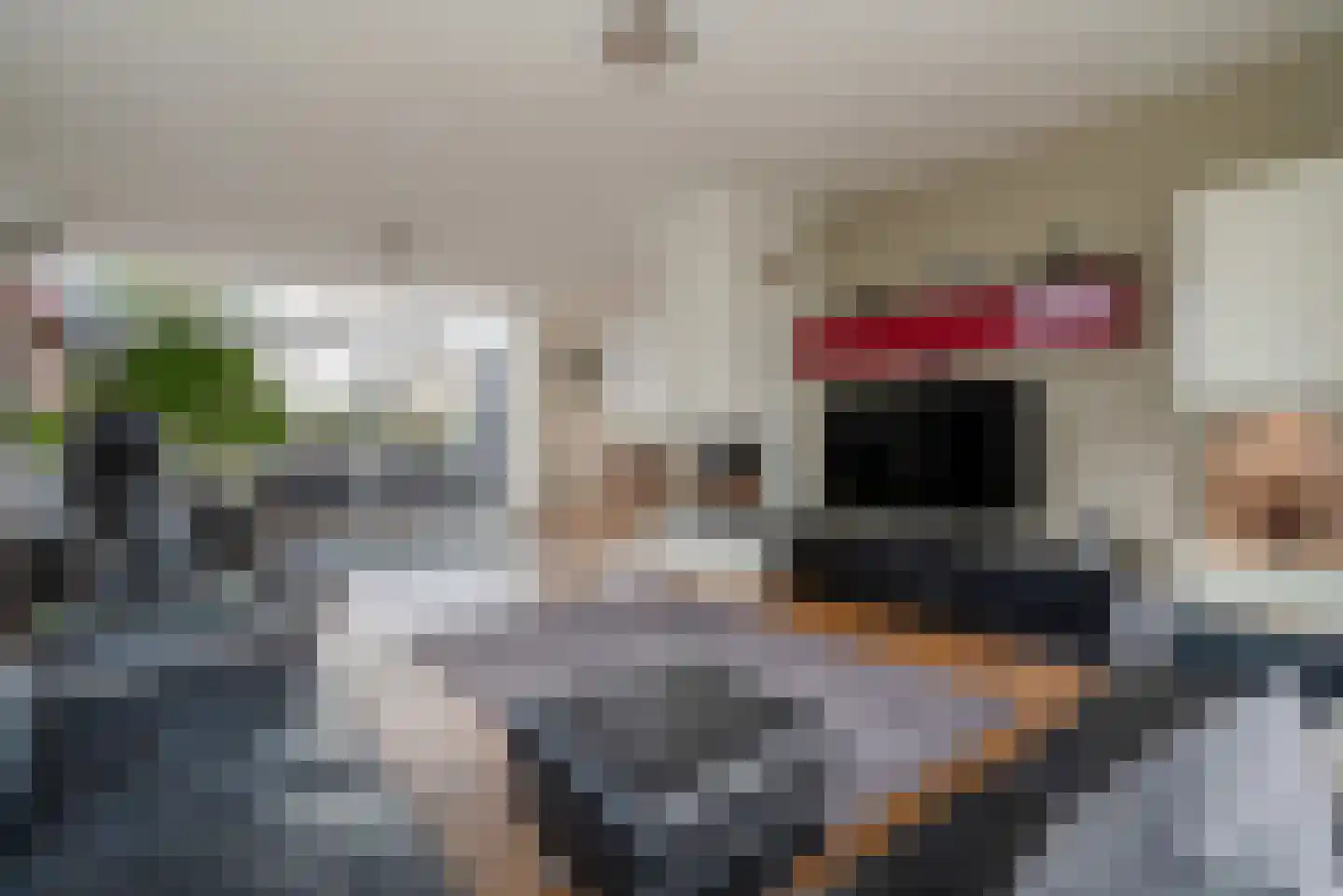 Agaat 100 Zoetermeer thumbnail 13